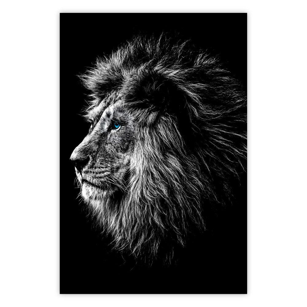 poster lion